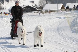 Lenk 2012 SM